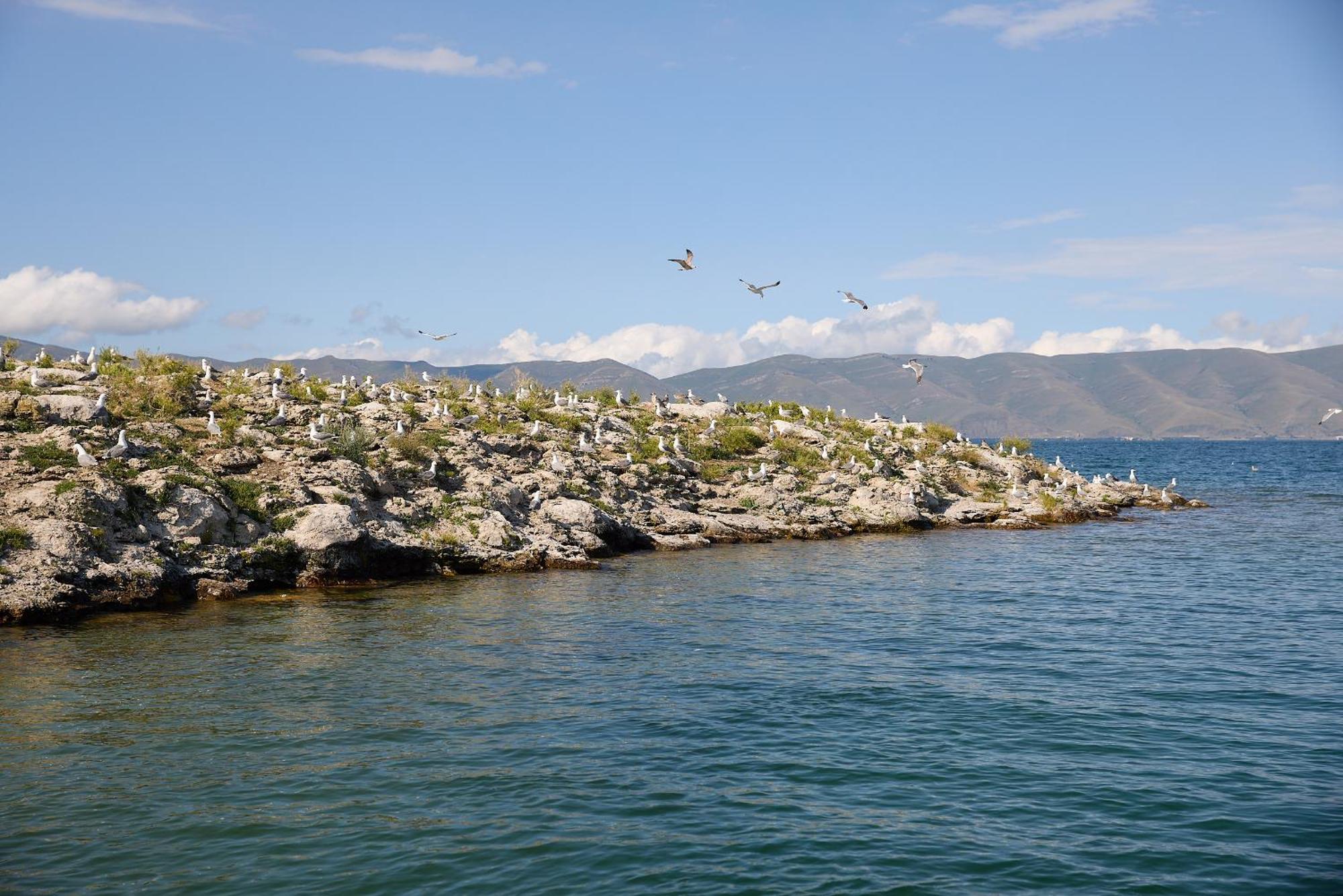 Hotel Noy Land Sevan